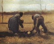Peasant and Peasant Woman Planting Potatoes (nn04) Vincent Van Gogh